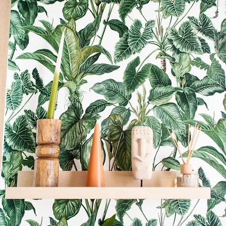 La Casita 3* 알라시오